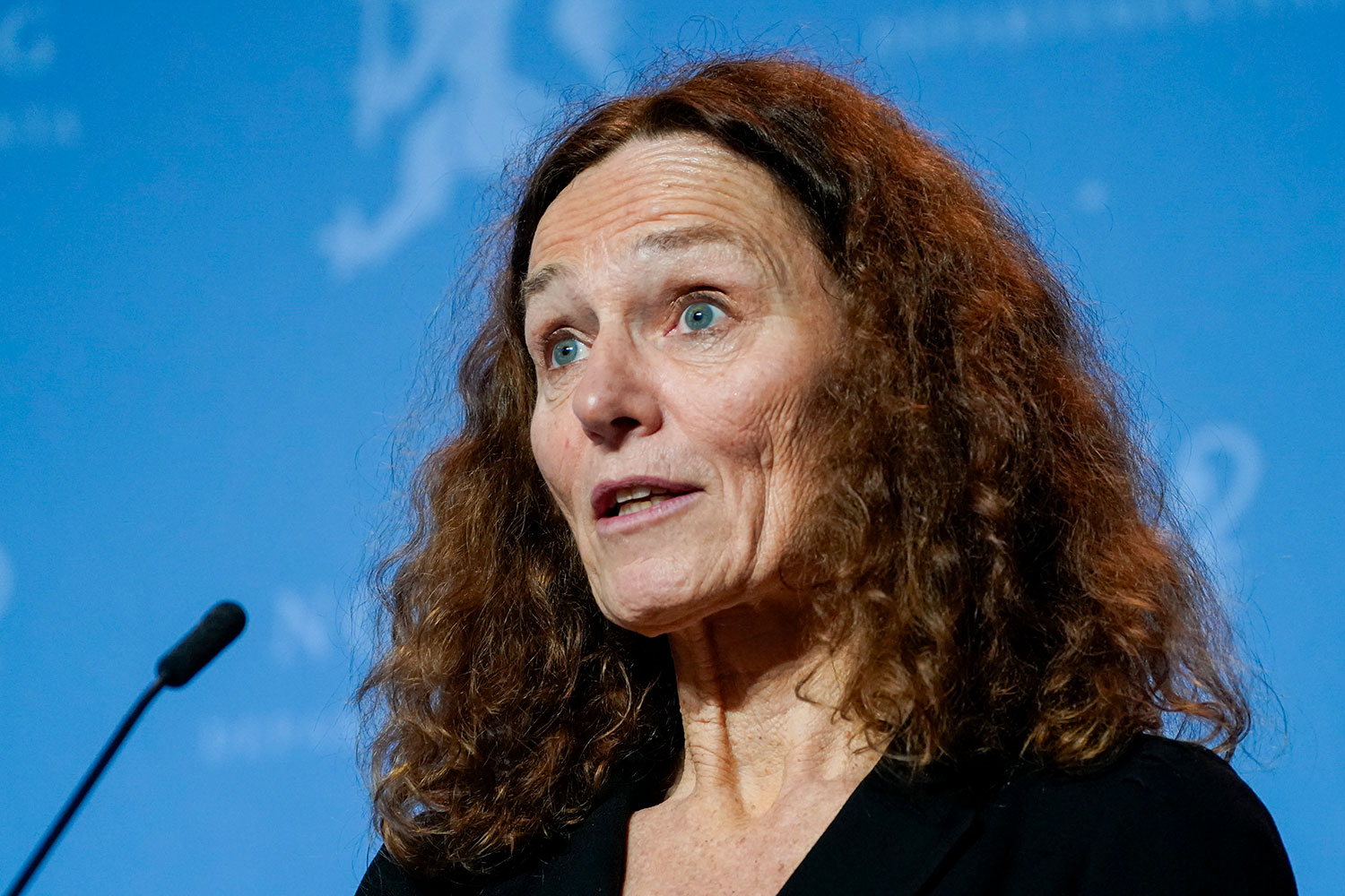 Direktør Camilla Stoltenberg i Folkehelseinstituttet under en tidligere pressekonferanse.