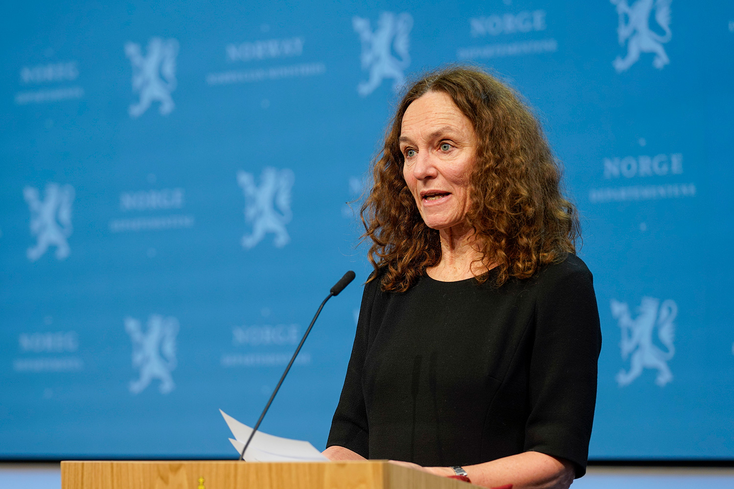 Direktør i FHI Camilla Stoltenberg under en pressekonferanse om koronasituasjonen.