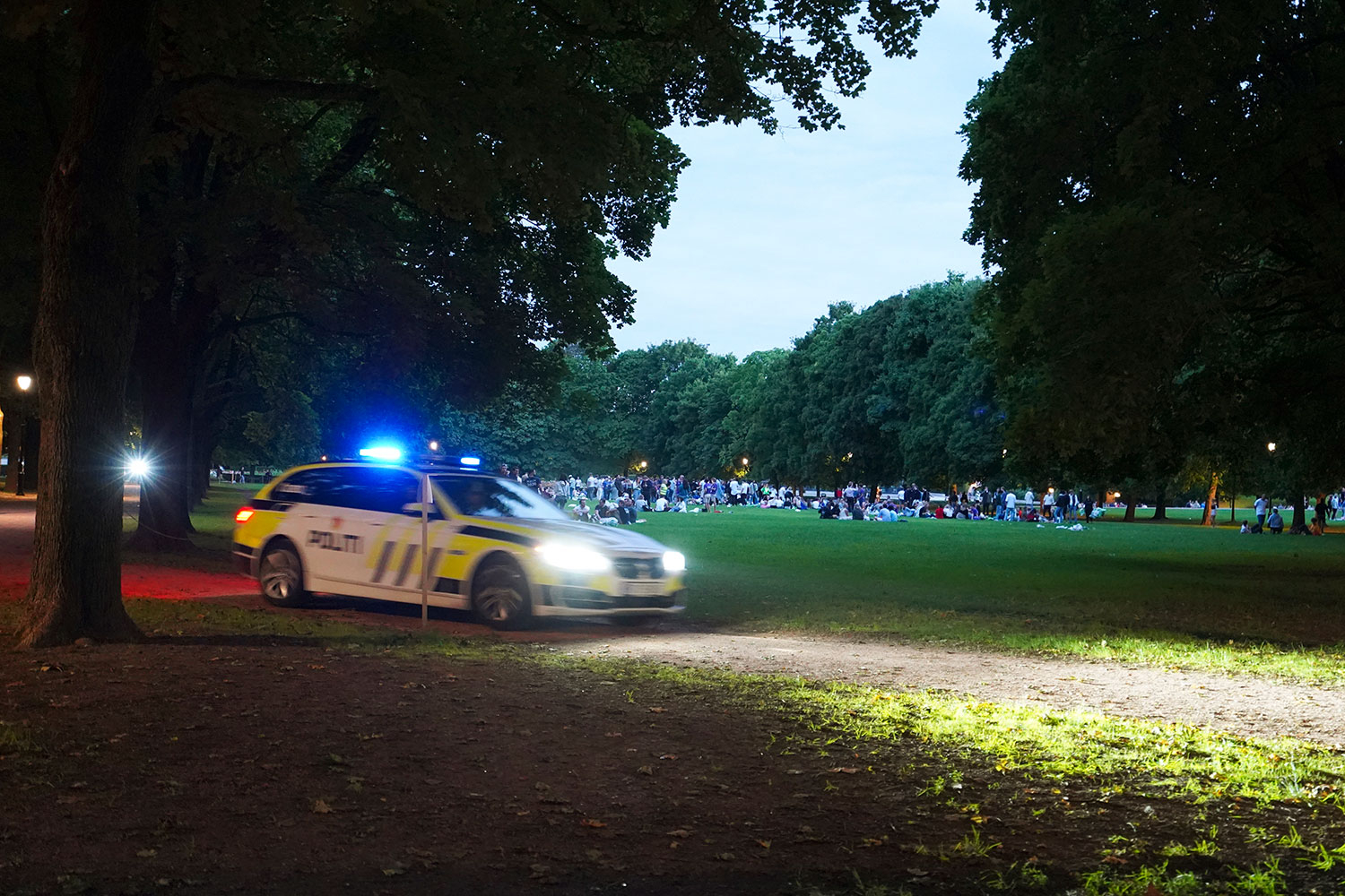 Politiet venter en dobling av vold og uro i tiden framover, og at det vil bli flere ordensforstyrrelser enn selv før pandemien. Her fra Frognerparken i Oslo i fjor høst.