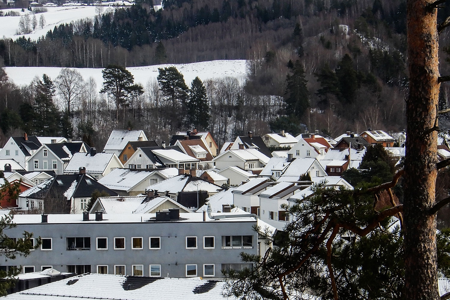 Omsetning av eiendommer i Ringerike kommune i uke 47