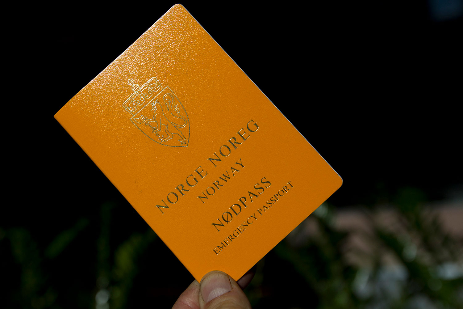 Et slikt pass godtas ikke i flere land og politiet sier nå at folk ikke lenger kan regne med å få slike pass om de ikke har søkt om nytt pass.