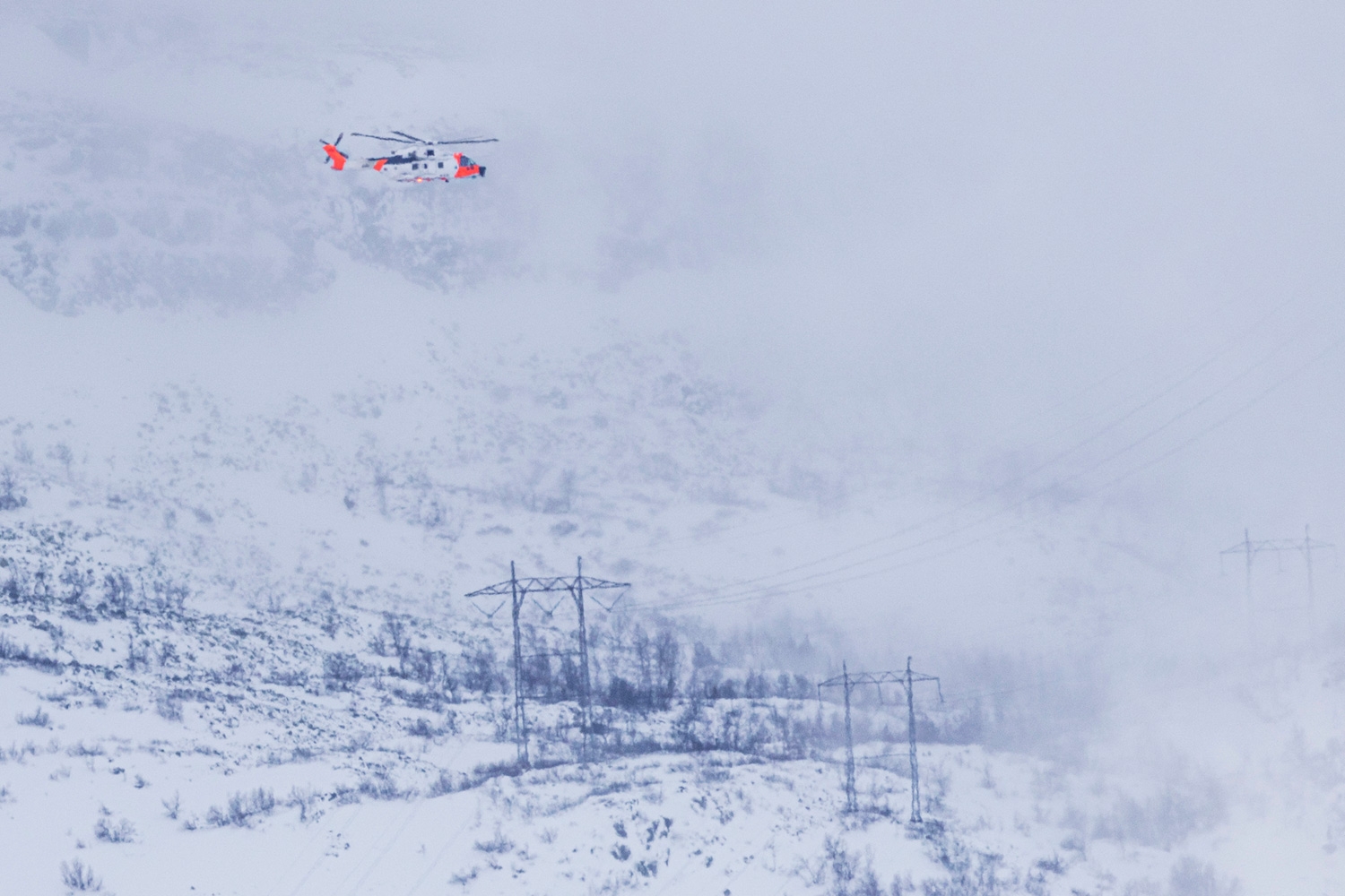 Redningsmannskapene består av klatrespesialister, norske alpine redningsgrupper, Røde Kors, Sivilforsvaret og andre frivillige.