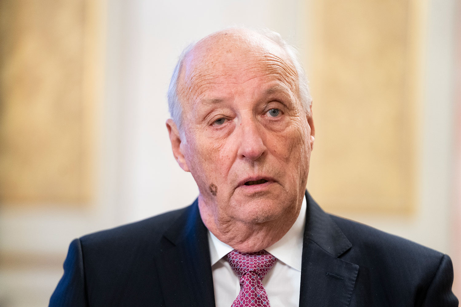 Kong Harald oppsummerer 2022 i NRK-programmet «Året med kongefamilien» andre juledag.