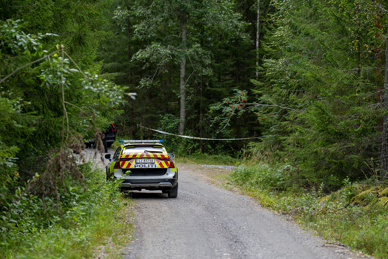 17. august ble 30 år gamle Jonas Henriksen funnet død like ved en hytte ved Nes i Ådal. Politiet vet fortsatt ikke hvorfor Henriksen var i området.