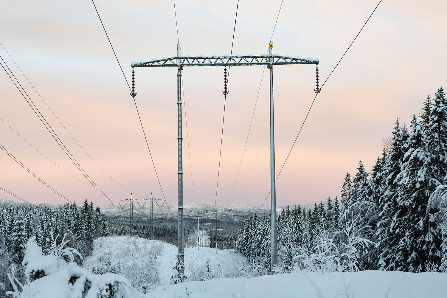 Regjeringen forslår i sitt budsjettforlag å kutte 2,9 milliarder i elavgiften. Ifølge finansminister Trygve Slagsvold Vedum (Sp) vil det bli om lag 48 prosent reduksjon av elavgiften i januar, februar og mars.