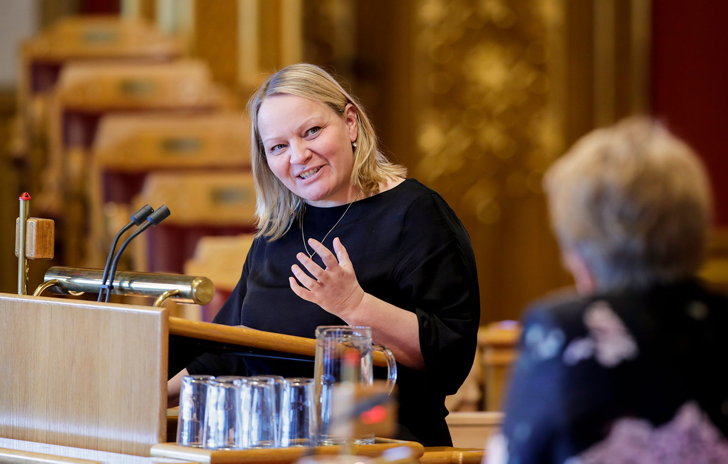 SV krever at byggingen av Ringeriksbanen settes i gang, sier partiets Mona Fagerås.