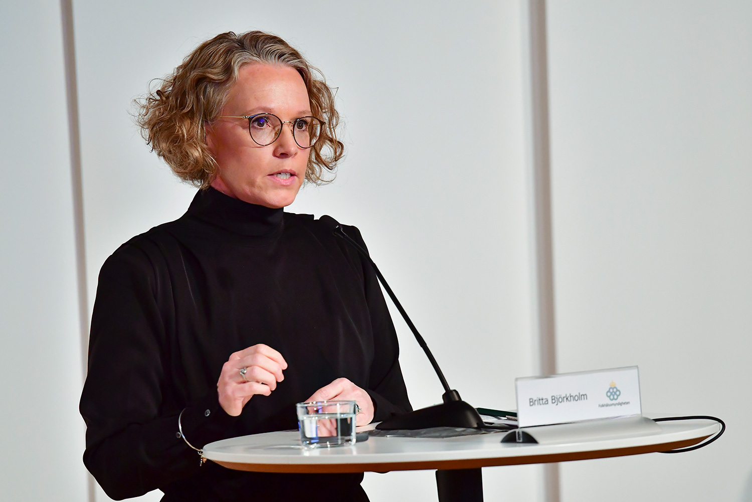 Britta Björkholm, avdelingsleder i Folkhälsomyndigheten på onsdagens pressekonferanse om koronasituasjonen i Sverige.