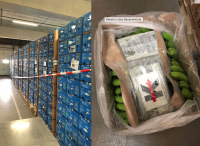Tysk politi har beslaglagt mer enn 1.200 kilo kokain. Etter beslaget tipset de politiet og tollmyndigheter i Oslo som beslagla 800 kilo kokain i Oslo.