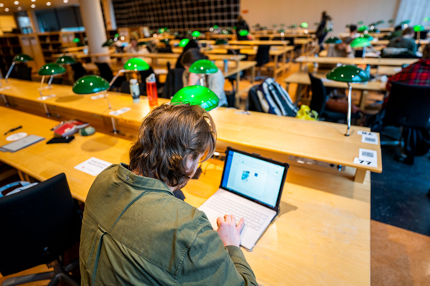 Studentene som føler seg best forberedt på arbeidslivet, studerer innenfor lærerutdanning og pedagogikk.